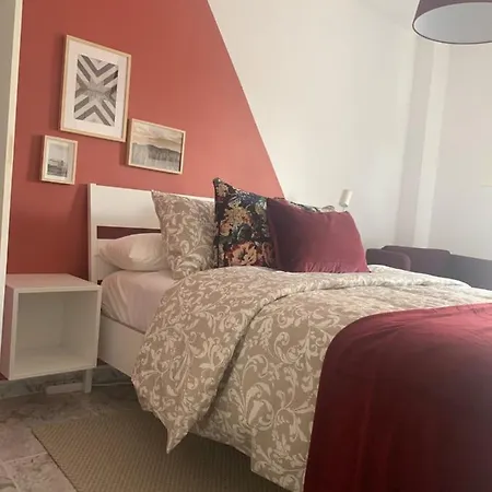 Weier 라치스테르니가